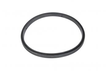 DOUBLE LIP SEAL RING (D=160)