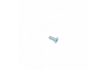SCREW TPS TORX M3X8 TX10 DIN 965