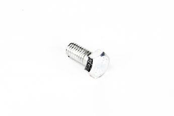 SCREW TE M5X10 GALVANIZED